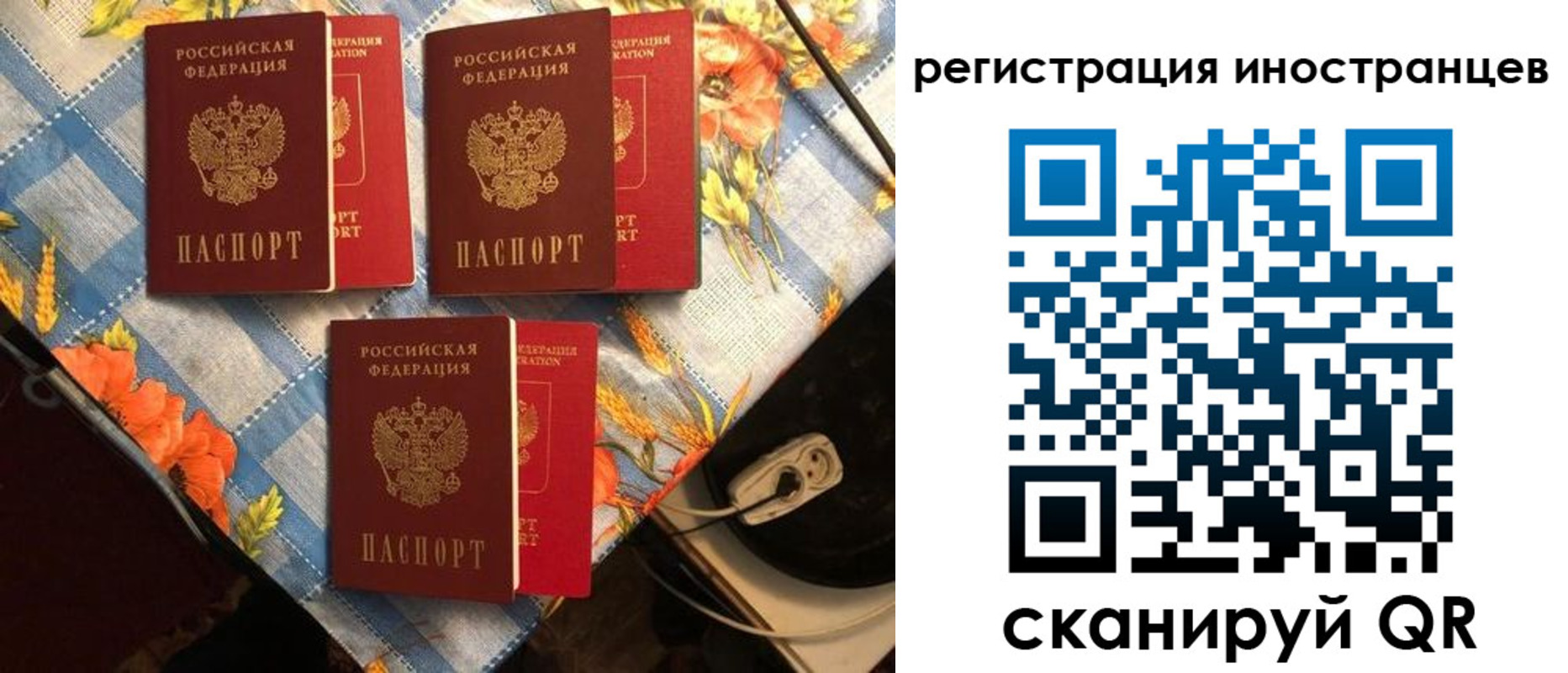 прописка поиск в Тейково